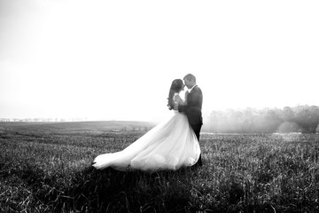 Fototapeta na wymiar Romantic fairytale newlywed couple hug & kiss in field at sunset