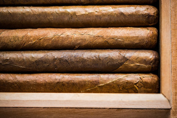 Overhead view on humidor with cigars