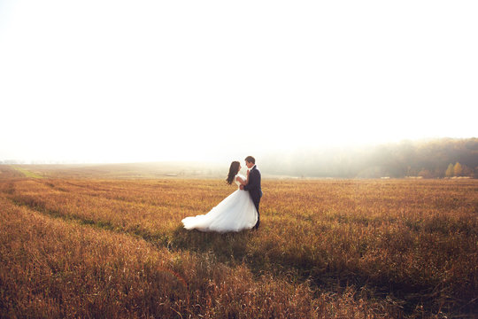 Romantic fairytale newlywed couple hug & pose in field at sunset