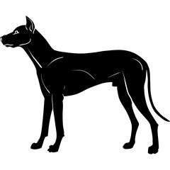 silhouette of a dog-vector 