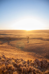 Sunset over savannah of Namib-Naukluft National Park, Namibia.