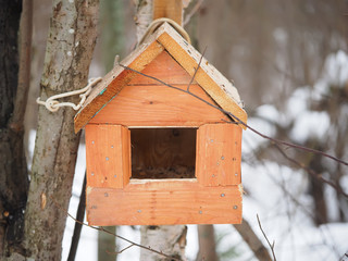 feeder for birds in the forest
