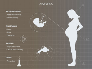 Zika virus infographic with pregnant woman