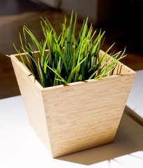 Green Artificial Grass in A Wooden Pot