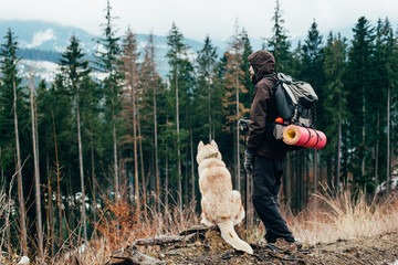 hiker with siberian husky dog looking at beautiful view in mountains
