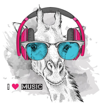 The image of the giraffe in the glasses and headphones. Vector illustration.