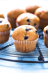 Homemade blueberry myffins on cooling tray
