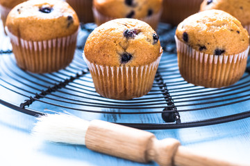 Homemade blueberry myffins on cooling tray