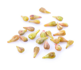 grape seeds on white background macro closeup