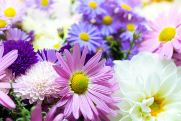 flowers background