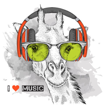 The image of the giraffe in the glasses and headphones. Vector illustration.