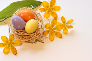 Ostereier, Osternest und schöne Krokusblüten