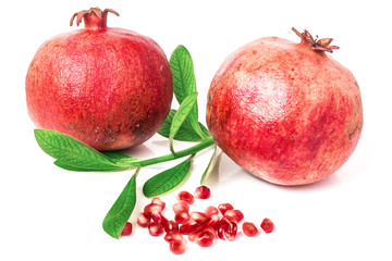 pomegranate isolated on white background