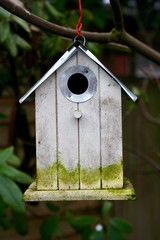 Altes Vogelhäuschen, Nistkasten
