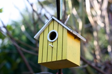 Gelbes Vogelhäuschen, Nistkasten