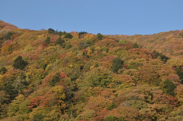 秋　西沢渓谷　川　谷　滝　落ち葉　