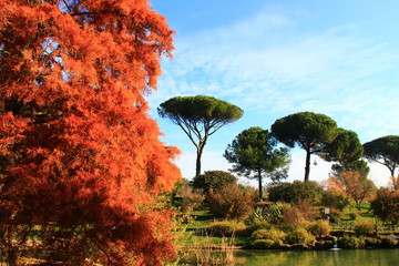 Roma, Villa Doria Pamphili
