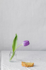 colorful bouquet of fresh spring tulip flowers with water drops on white background