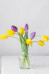 colorful bouquet of fresh spring tulip flowers with water drops on white background