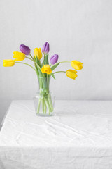colorful bouquet of fresh spring tulip flowers with water drops on white background