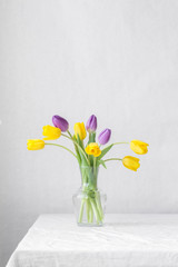 colorful bouquet of fresh spring tulip flowers with water drops on white background