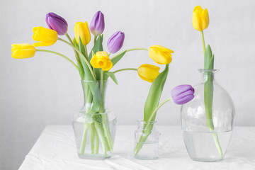 colorful bouquet of fresh spring tulip flowers with water drops on white background