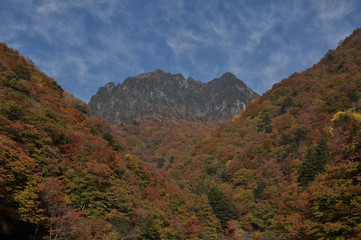 秋　西沢渓谷　川　谷　滝　落ち葉
