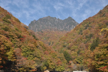 秋　西沢渓谷　川　谷　滝　落ち葉