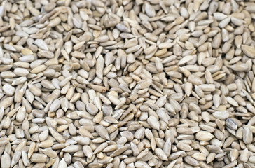 sunflower seeds