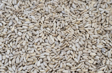 sunflower seeds