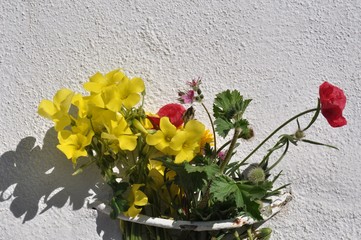bouquet of wild flowers in full sun