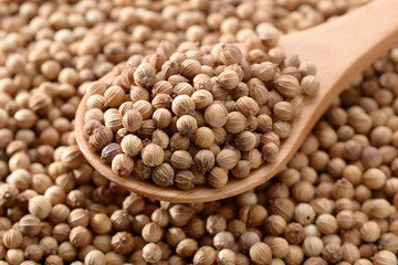 コリアンダーシード