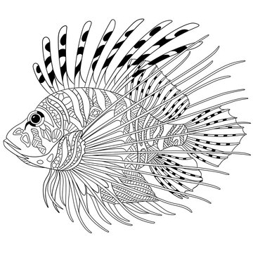 Download 112 Best Coloring Book Adult Images Stock Photos Vectors Adobe Stock