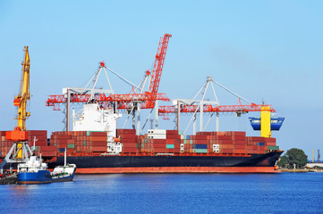 Cargo crane and ship