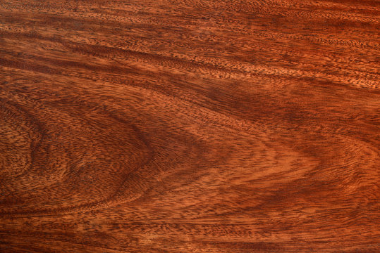 Natural Wood Series / 
High resolution image of textured natural wood shot in studio.