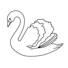 Swan black white bird isolated illustration vector
