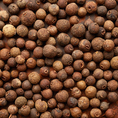 Allspice