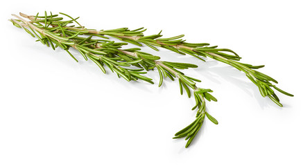 Rosemary