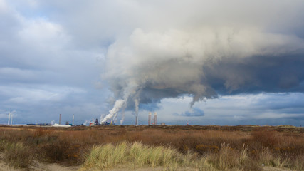 industry in the Netherlands