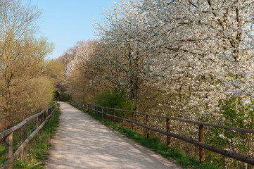 Rad-Wanderweg im Frühling
