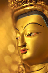 The golden glow of Buddhism.