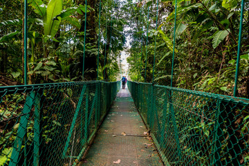 Girl on hanging bridge in cloudforest - Monteverde, Costa Rica