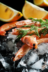 Chilled large shrimps on crushed ice with dill and lemon, select