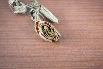 The last valentine rose.
