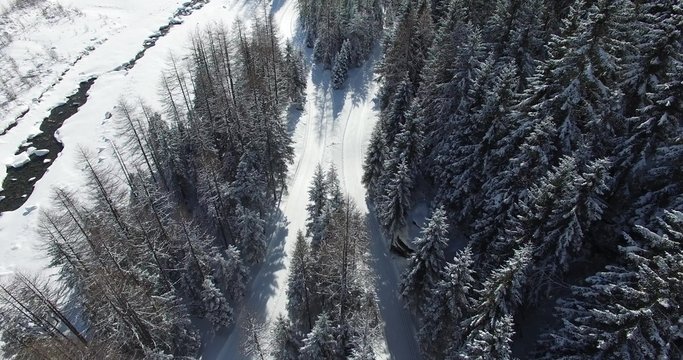 Bosco con alberi innevati - Inverno in Valtellina 4k