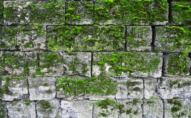 Wall of limestone