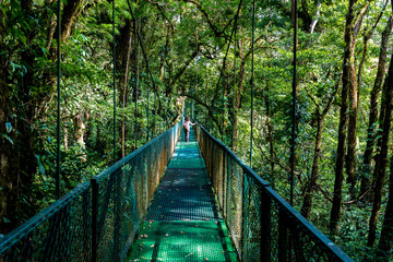 Obraz premium Girl on hanging bridge in cloudforest - Monteverde, Costa Rica