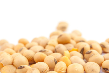 soybean isolated