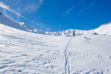 Obraz premium ski print of a skier in a valley