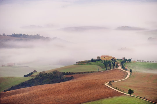 Early morning on countryside, Val d&acute;Orcia, Tuscany, Italy